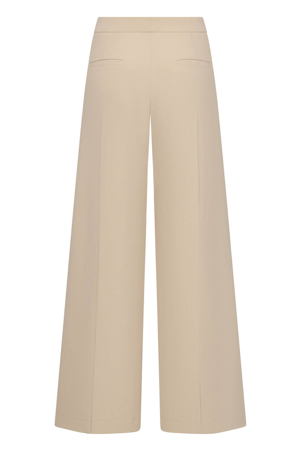 Seductive Pants - Elegant Wide-Leg Pants